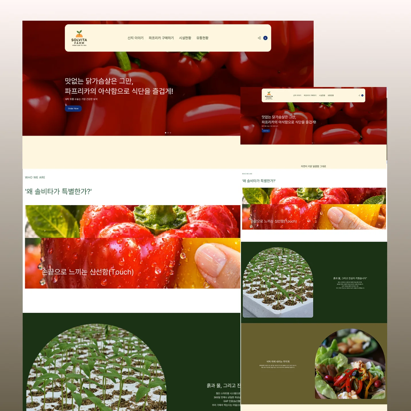 담연스튜디오 포트폴리오